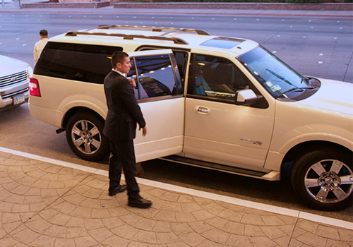 Executive Security Transportation
                            - Proteus Consulting